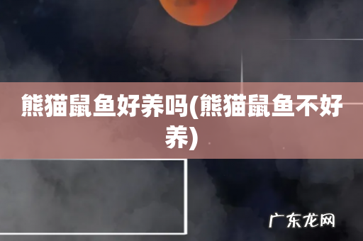 熊猫鼠鱼不好养 熊猫鼠鱼好养吗