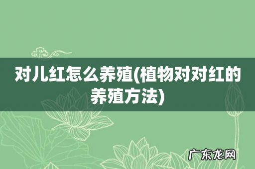 植物对对红的养殖方法 对儿红怎么养殖