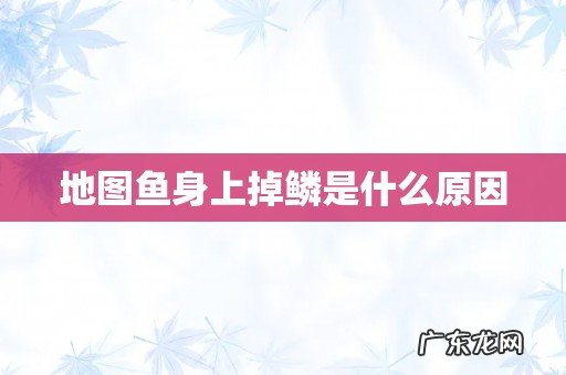 地图鱼身上掉鳞是什么原因