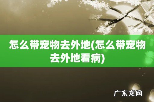 怎么带宠物去外地看病 怎么带宠物去外地