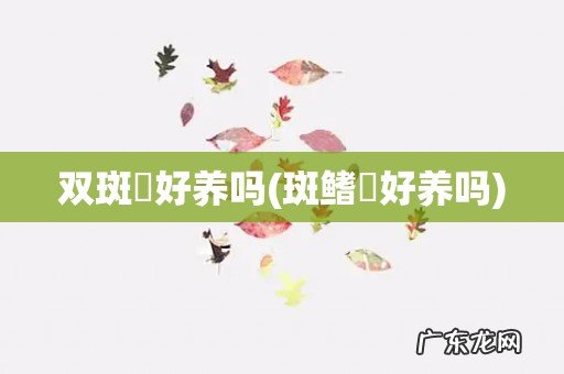 斑鳍鱥好养吗 双斑鲃好养吗