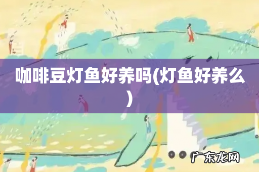 灯鱼好养么 咖啡豆灯鱼好养吗