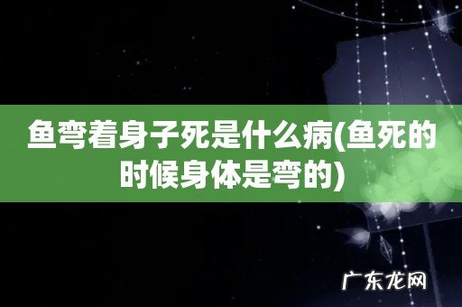 鱼死的时候身体是弯的 鱼弯着身子死是什么病