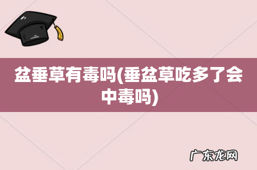 垂盆草吃多了会中毒吗 盆垂草有毒吗