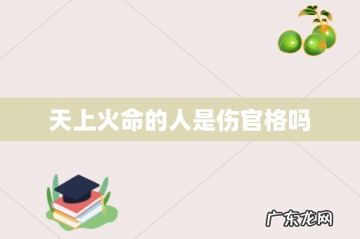 天上火命的人是伤官格吗