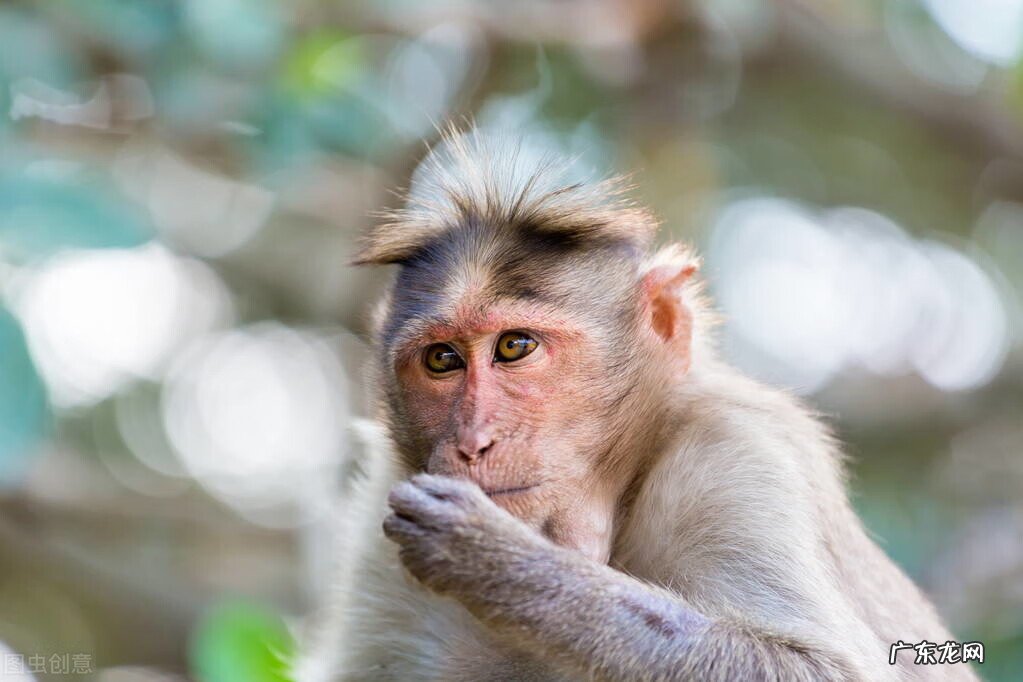风水先生 风水中的阴阳人