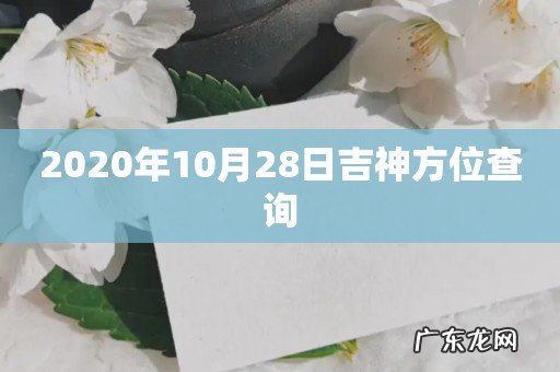 2020年10月28日吉神方位查询