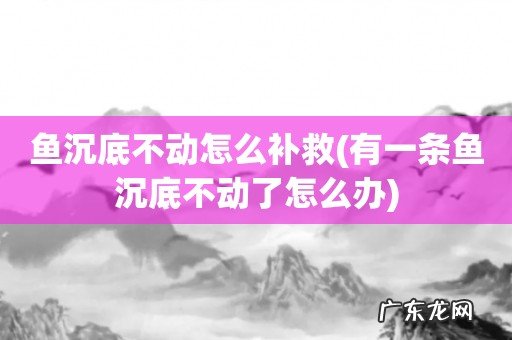 有一条鱼沉底不动了怎么办 鱼沉底不动怎么补救