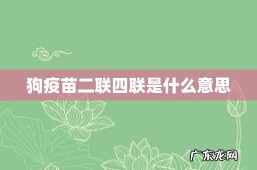 狗疫苗二联四联是什么意思