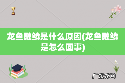 龙鱼融鳞是怎么回事 龙鱼融鳞是什么原因