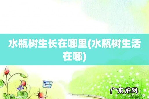 水瓶树生活在哪 水瓶树生长在哪里