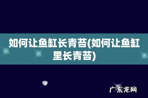 如何让鱼缸里长青苔 如何让鱼缸长青苔