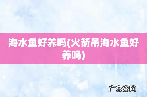 火箭吊海水鱼好养吗 海水鱼好养吗