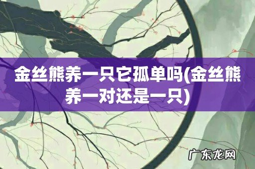 金丝熊养一对还是一只 金丝熊养一只它孤单吗