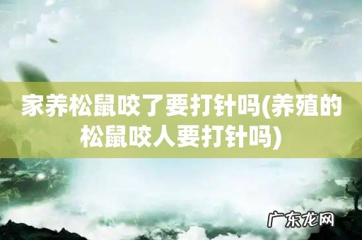 养殖的松鼠咬人要打针吗 家养松鼠咬了要打针吗