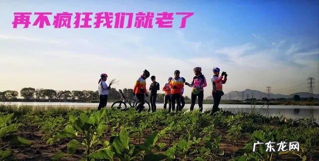 再不疯狂就老了完整版 再不疯狂我们就老了你再不老我们就疯了