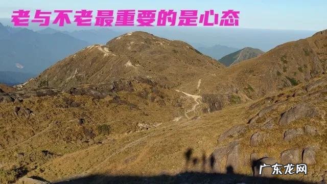 再不疯狂就老了完整版 再不疯狂我们就老了你再不老我们就疯了