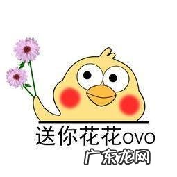 红叶苋菜 红叶苋的风水