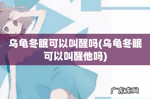 乌龟冬眠可以叫醒他吗 乌龟冬眠可以叫醒吗