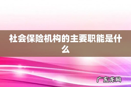 社会保险机构的主要职能是什么