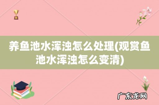 观赏鱼池水浑浊怎么变清 养鱼池水浑浊怎么处理