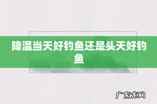 降温当天好钓鱼还是头天好钓鱼