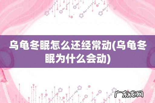 乌龟冬眠为什么会动 乌龟冬眠怎么还经常动