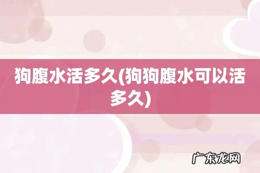 狗狗腹水可以活多久 狗腹水活多久