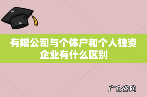 有限公司与个体户和个人独资企业有什么区别