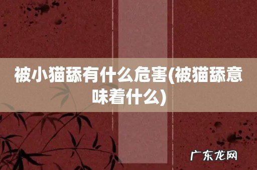 被猫舔意味着什么 被小猫舔有什么危害