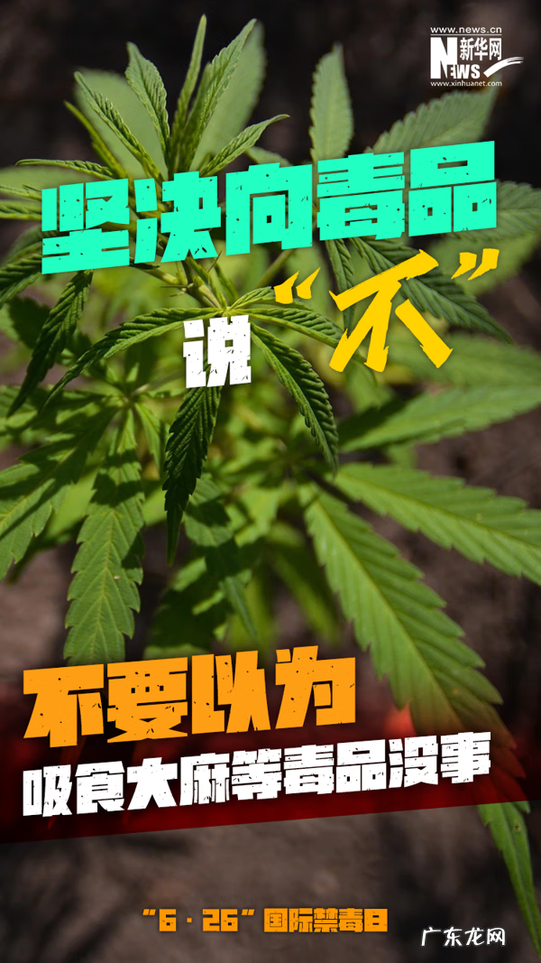 国际禁毒日是哪一年6月26号 国际禁毒日是哪一天哪一日