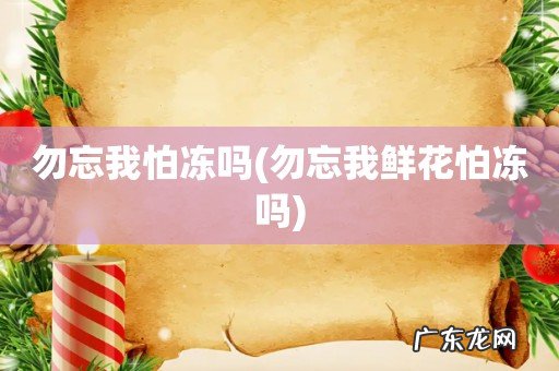 勿忘我鲜花怕冻吗 勿忘我怕冻吗