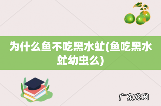 鱼吃黑水虻幼虫么 为什么鱼不吃黑水虻