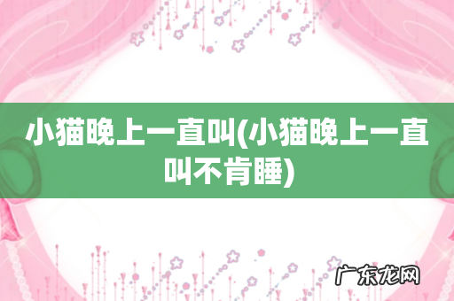 小猫晚上一直叫不肯睡 小猫晚上一直叫