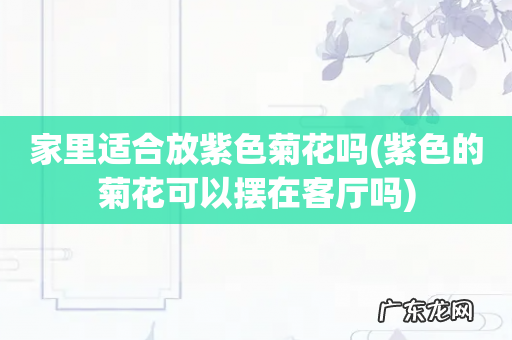 紫色的菊花可以摆在客厅吗 家里适合放紫色菊花吗