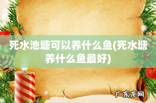 死水塘养什么鱼最好 死水池塘可以养什么鱼
