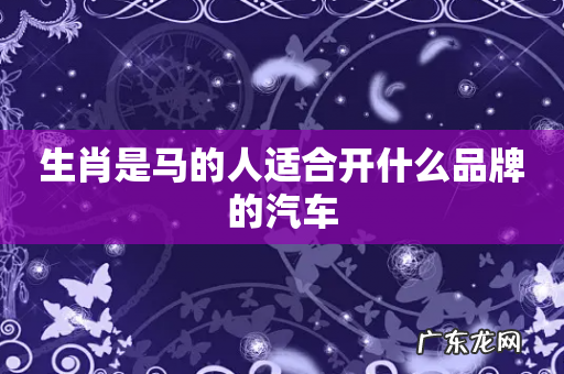 生肖是马的人适合开什么品牌的汽车