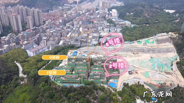 东莞哪个地方风水最好 东莞风水最好的楼盘