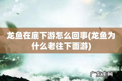 龙鱼为什么老往下面游 龙鱼在底下游怎么回事