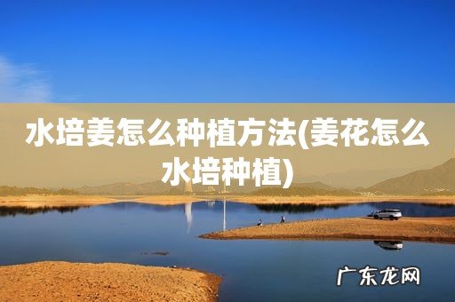 姜花怎么水培种植 水培姜怎么种植方法