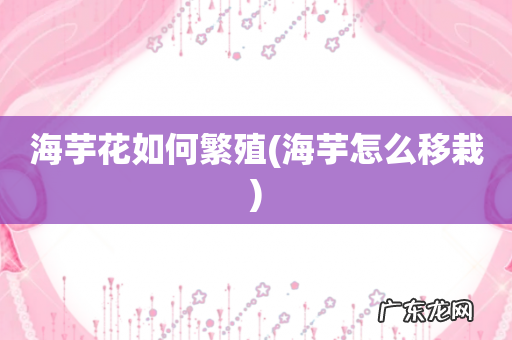 海芋怎么移栽 海芋花如何繁殖
