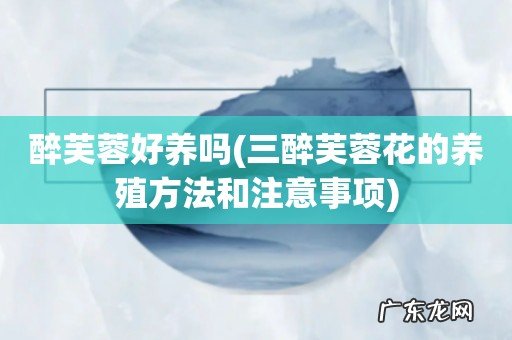 三醉芙蓉花的养殖方法和注意事项 醉芙蓉好养吗