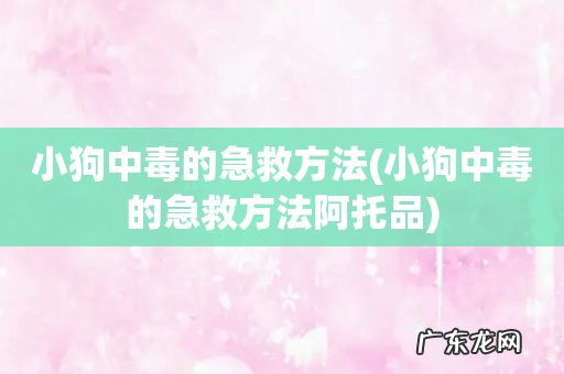 小狗中毒的急救方法阿托品 小狗中毒的急救方法