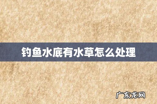 钓鱼水底有水草怎么处理