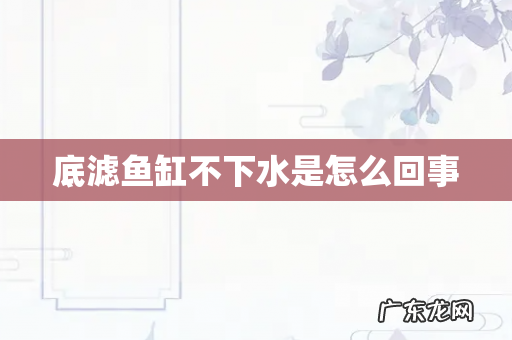 底滤鱼缸不下水是怎么回事