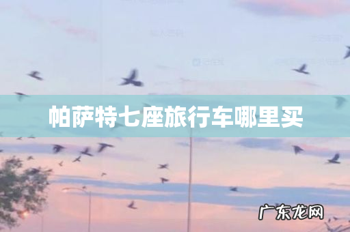 帕萨特七座旅行车哪里买