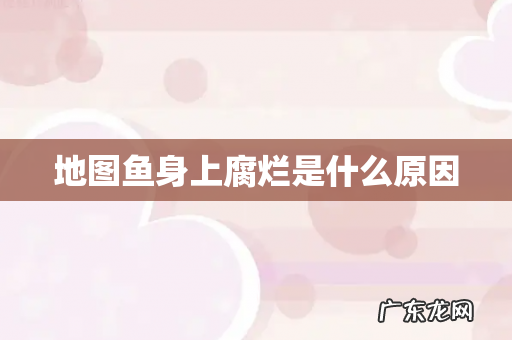 地图鱼身上腐烂是什么原因