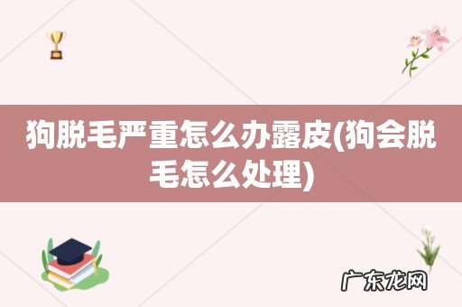 狗会脱毛怎么处理 狗脱毛严重怎么办露皮