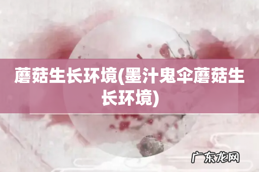 墨汁鬼伞蘑菇生长环境 蘑菇生长环境