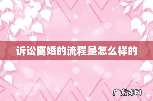 诉讼离婚的流程是怎么样的